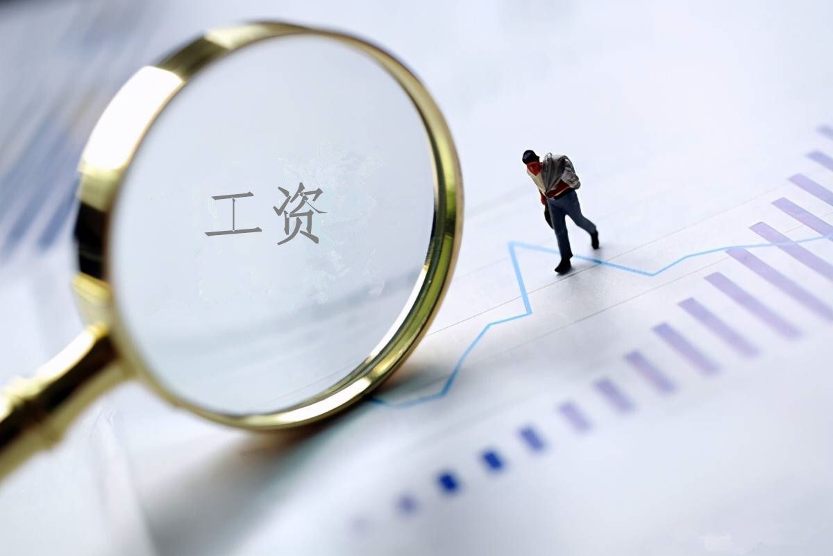 2022年度抖圈工资总额信息披露