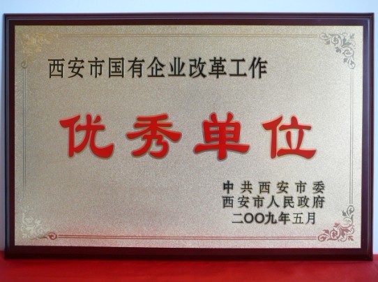2009年5月，被西安市委、市当驹炖为西安市国企业鼎新工作优良单元